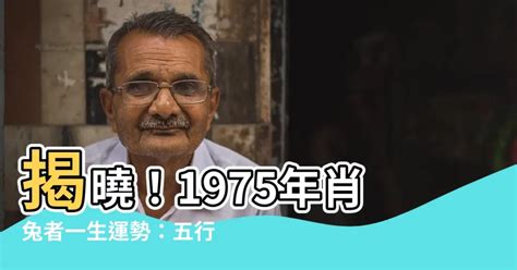 1975屬什麼|1975年兔一生的運氣 出生五行命理分析